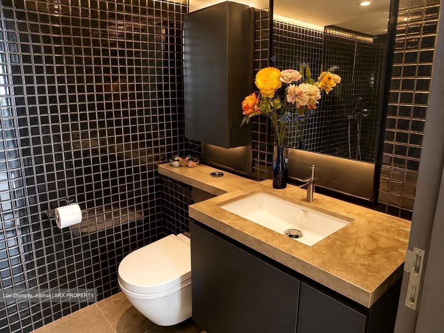 Skysuites@Anson (D2), Apartment #606925961